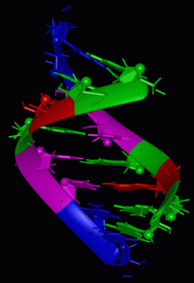 Image NMR Structure - manually