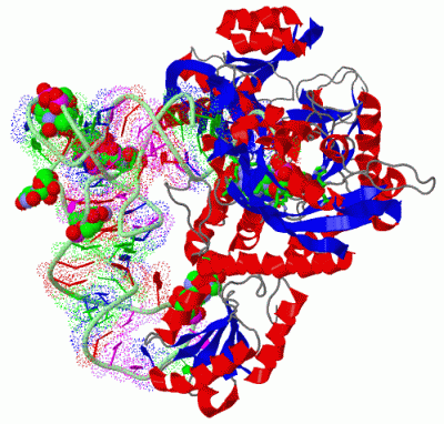 Image Asym./Biol. Unit - manually