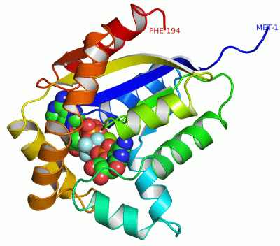 Image Asym./Biol. Unit - manually