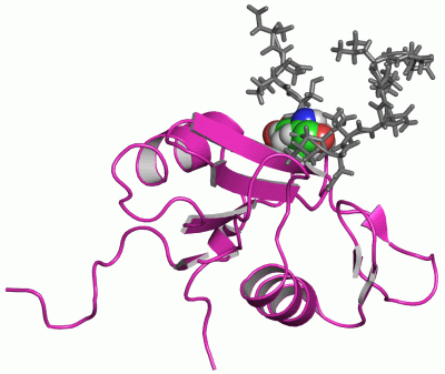 Image NMR Structure - manually