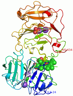 Image Asym./Biol. Unit - manually