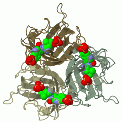 Image Biol.Unit 1 - manually