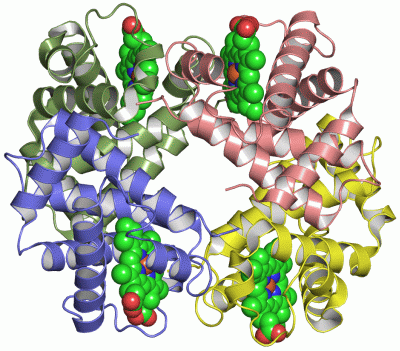 Image Asym./Biol. Unit - manually