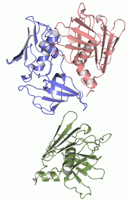 Image Asym.Unit - manually