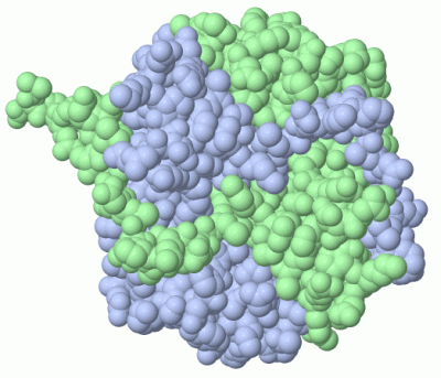 Image Biol.Unit 1 - manually