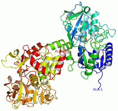 Image Asym./Biol. Unit - manually