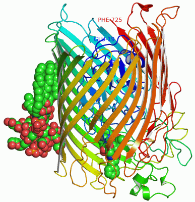 Image Asym./Biol. Unit - manually