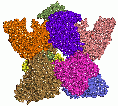 Image Asym./Biol. Unit - manually