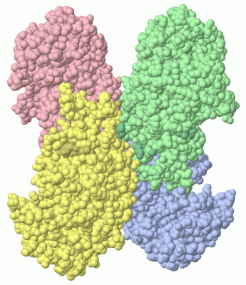 Image Biol.Unit 1 - manually