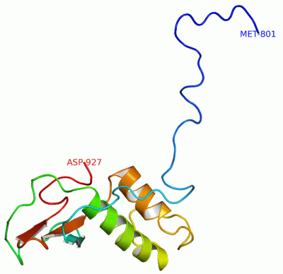 Image NMR Structure - manually