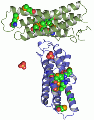 Image Asym.Unit - manually