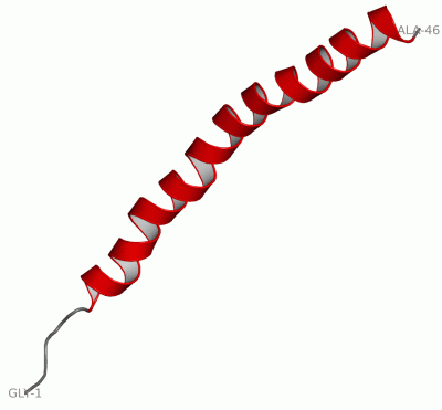 Image Asym.Unit - manually