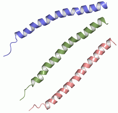 Image Asym.Unit - manually