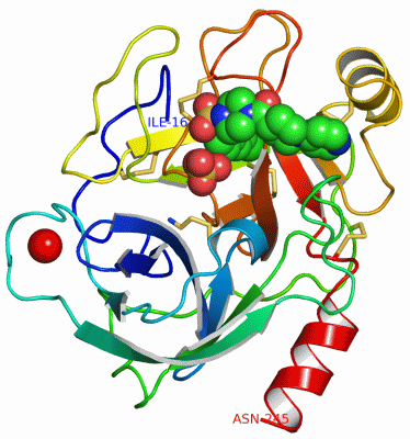 Image Asym./Biol. Unit - manually