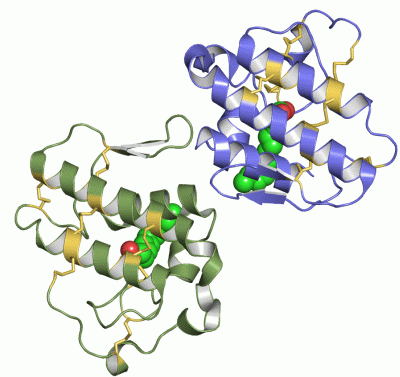 Image Asym./Biol. Unit - manually