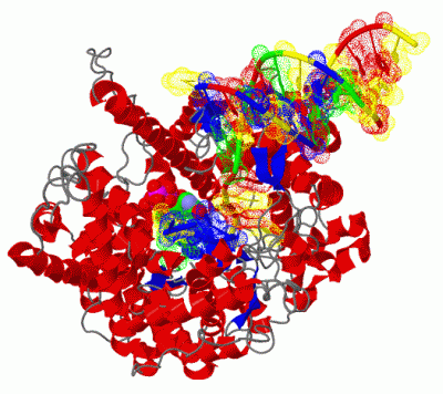 Image Asym./Biol. Unit - manually