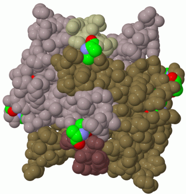 Image Biol.Unit 1 - manually