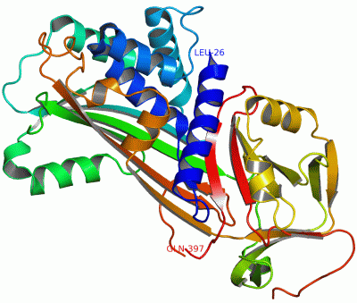 Image Asym./Biol. Unit - manually