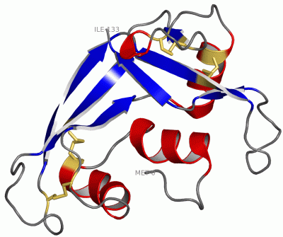 Image Asym./Biol. Unit - manually