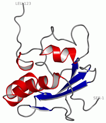 Image NMR Structure - manually