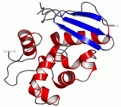 Image Asym./Biol. Unit - manually