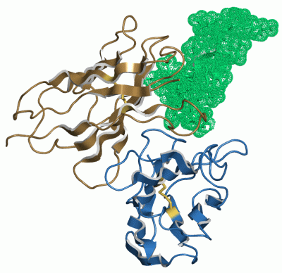 Image NMR Structure - manually