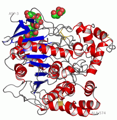 Image Asym./Biol. Unit - manually