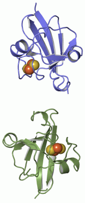 Image Asym.Unit - manually