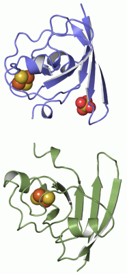 Image Asym.Unit - manually