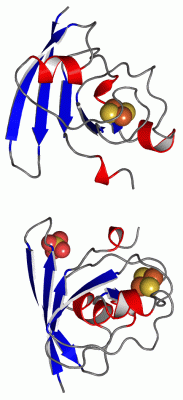 Image Asym.Unit - manually