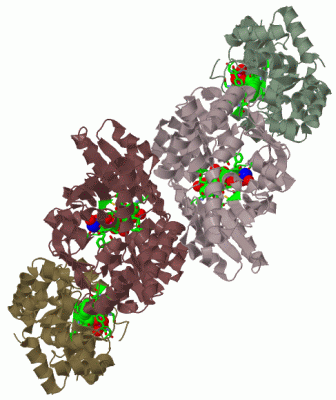 Image Biol.Unit 1 - manually