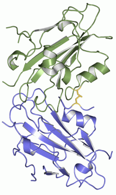 Image Asym./Biol. Unit - manually