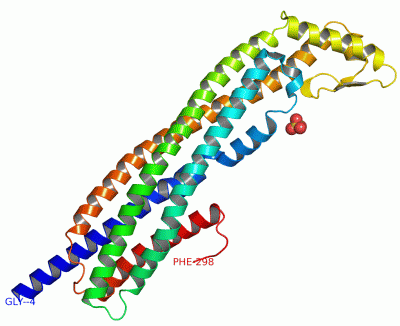 Image Asym./Biol. Unit - manually