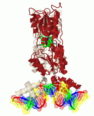 Image Biol.Unit 1 - manually