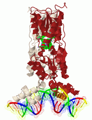 Image Biol.Unit 1 - manually