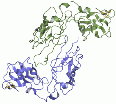 Image Asym./Biol. Unit - manually