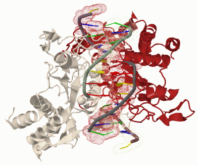 Image Biol.Unit 1 - manually