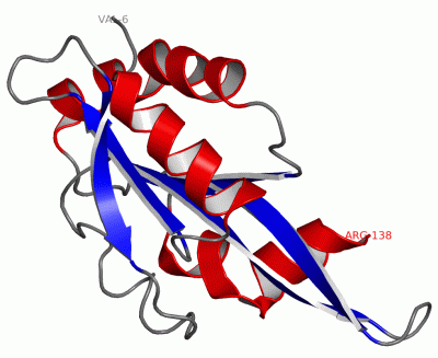 Image Asym./Biol. Unit - manually