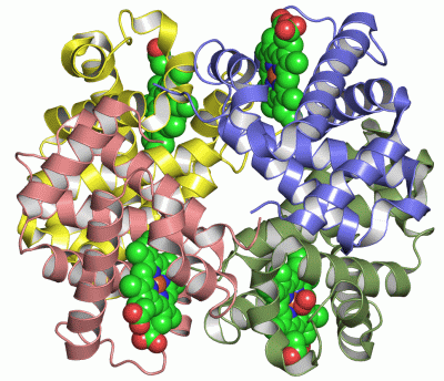 Image Asym./Biol. Unit - manually