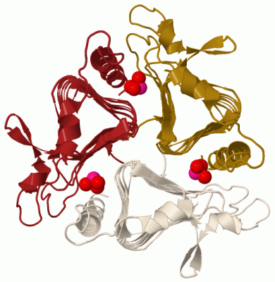 Image Biol.Unit 1 - manually