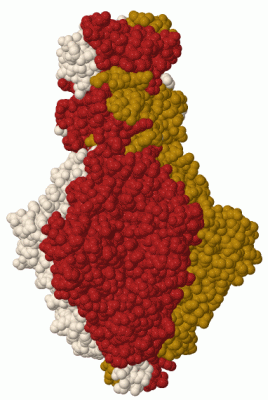 Image Biol.Unit 1 - manually