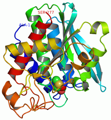 Image Asym./Biol. Unit - manually