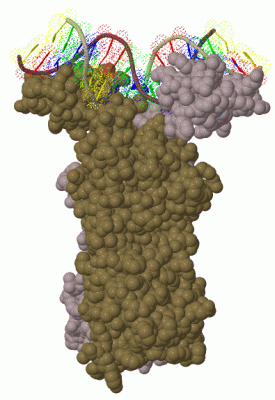 Image Biol.Unit 1 - manually