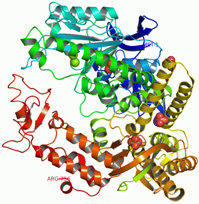 Image Asym./Biol. Unit - manually