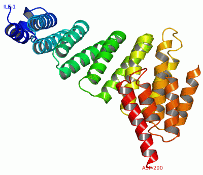 Image Asym./Biol. Unit - manually