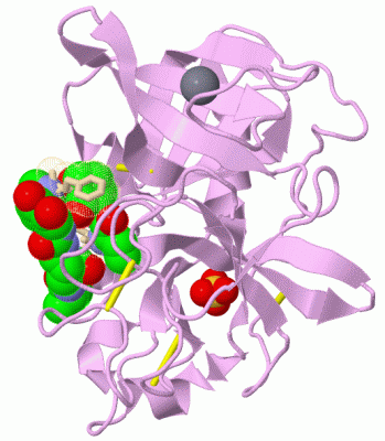 Image Asym./Biol. Unit - manually