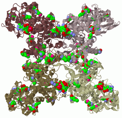 Image Biol.Unit 1 - manually