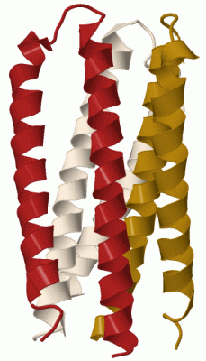 Image Biol.Unit 1 - manually