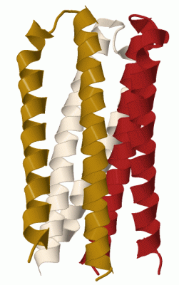 Image Biol.Unit 1 - manually