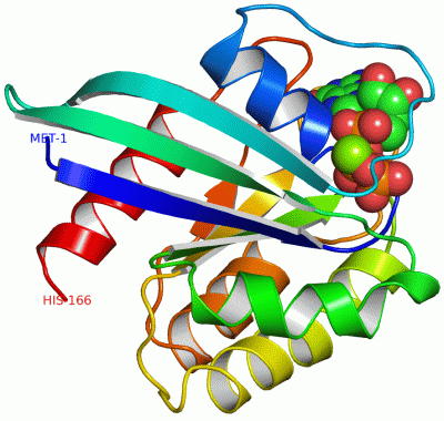 Image Asym./Biol. Unit - manually